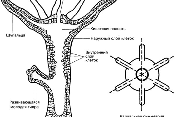 Кракен как попасть